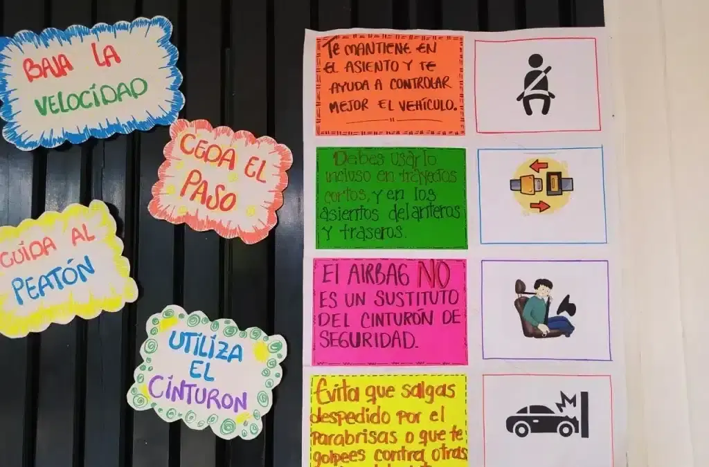 Campaña: Seguridad Vial – Uso del cinturón de seguridad